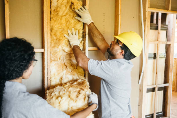 Best Insulation Contractors for Homes  in Lake Landor, VA