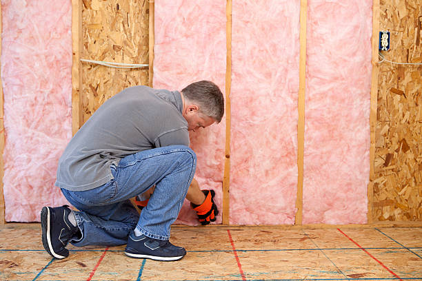 Best Fiberglass Insulation  in Lake Landor, VA