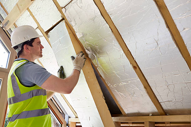 Best Spray Foam Insulation  in Lake Landor, VA